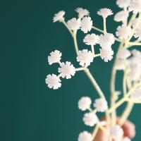 uploads/erp/collection/images/Home Garden/CongDing/XU0611025/img_b/XU0611025_img_b_4
